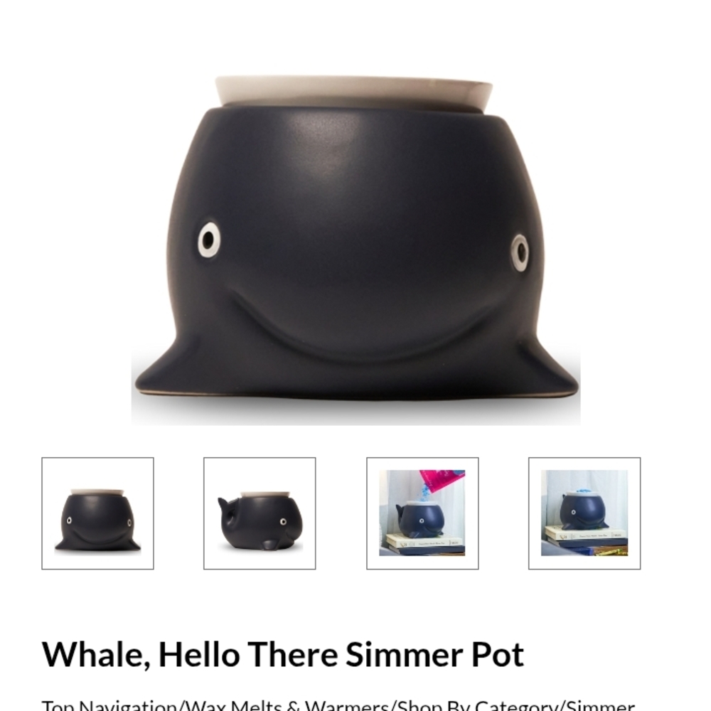 Whale Simmer Pot